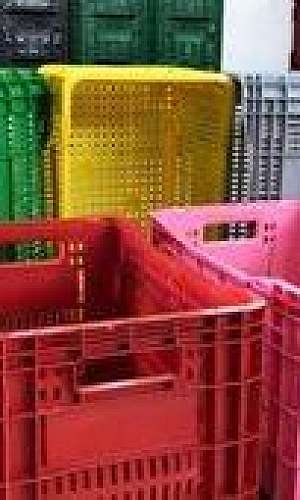 caixas de fruta plástico caixas de fruta plástico