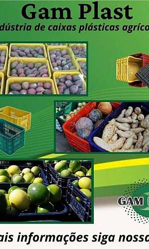 caixas de plástico para frutas caixas de plástico para frutas