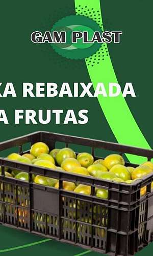 caixas para transporte de frutas caixas para transporte de frutas