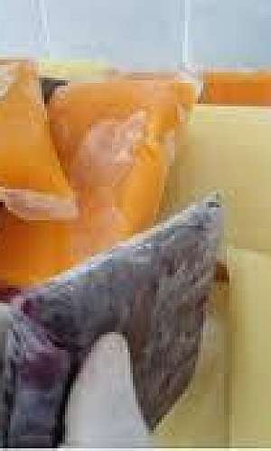 embalagem para polpa de fruta embalagem para polpa de fruta